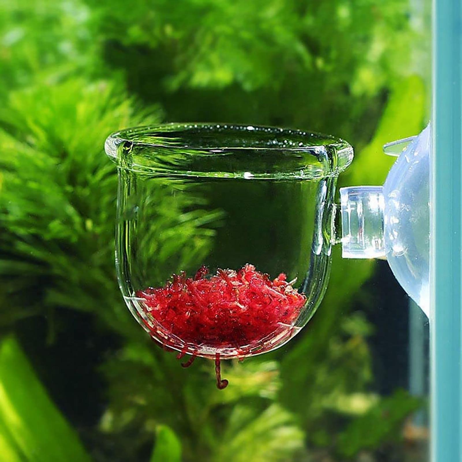 Aquarium Plant Seeds - Maceta para plantas de acuario, taza