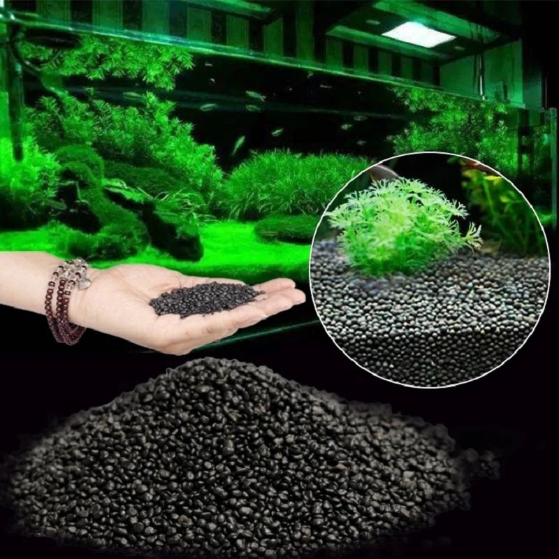 Aquarium Plant Seeds - Tanque de peces, agua, hierba, barro,