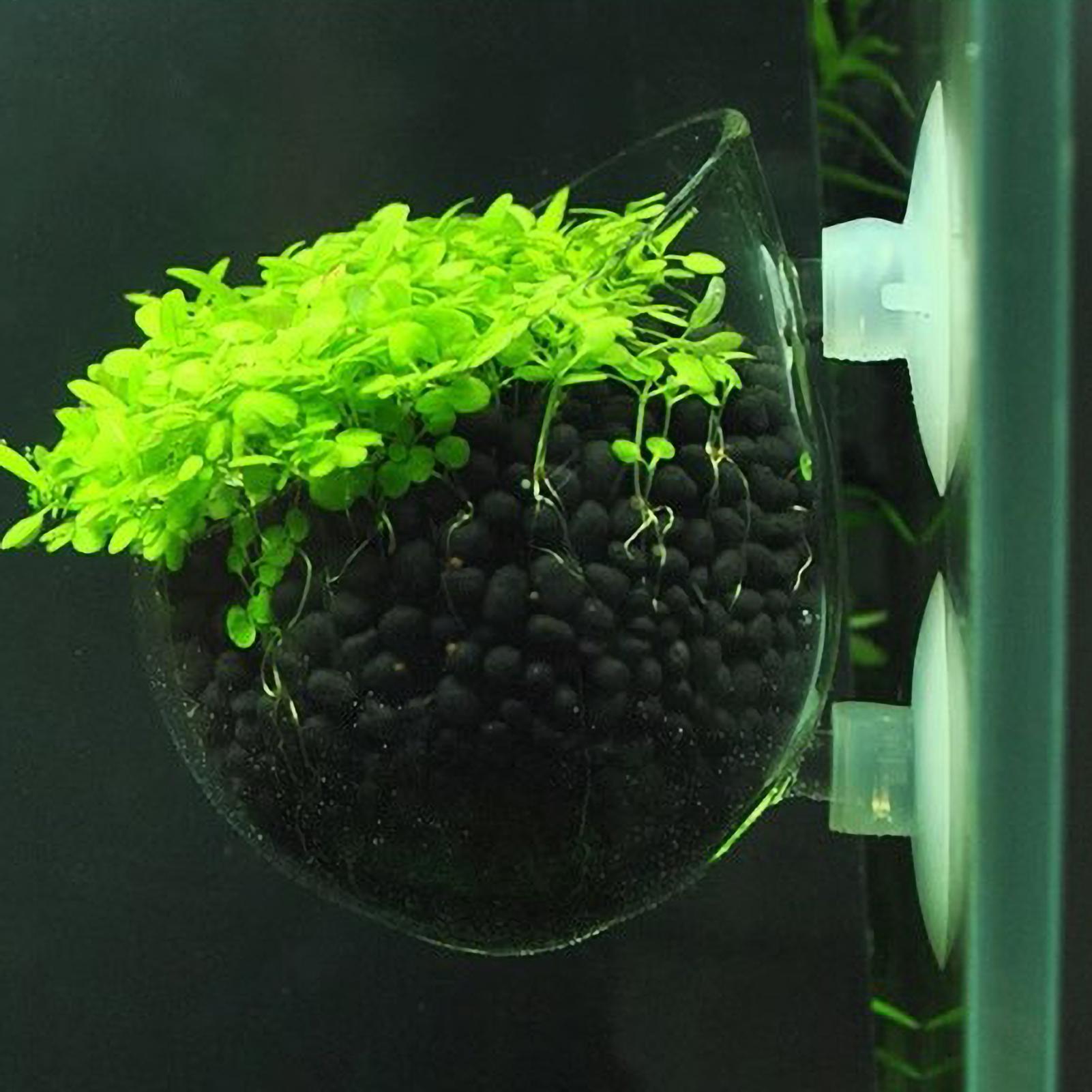 Aquarium Plant Holder - Soporte para Plantas de Acuario, Maceta