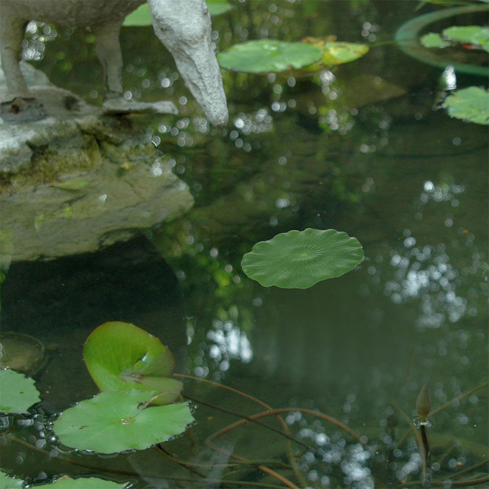 Aquarium Planting - 15 Piezas de Hojas de Lirio