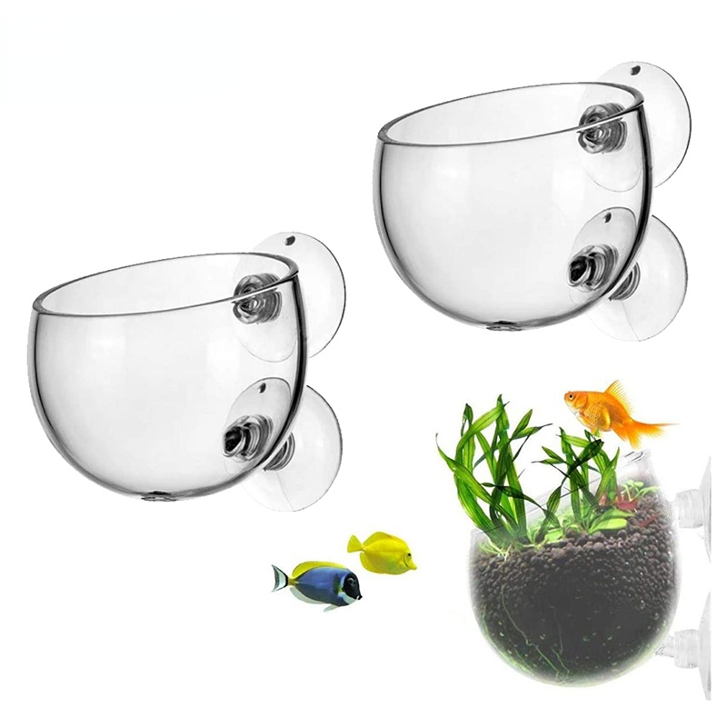 Aquarium Plant Seeds - Nuevo Maceta para plantas de acuario,