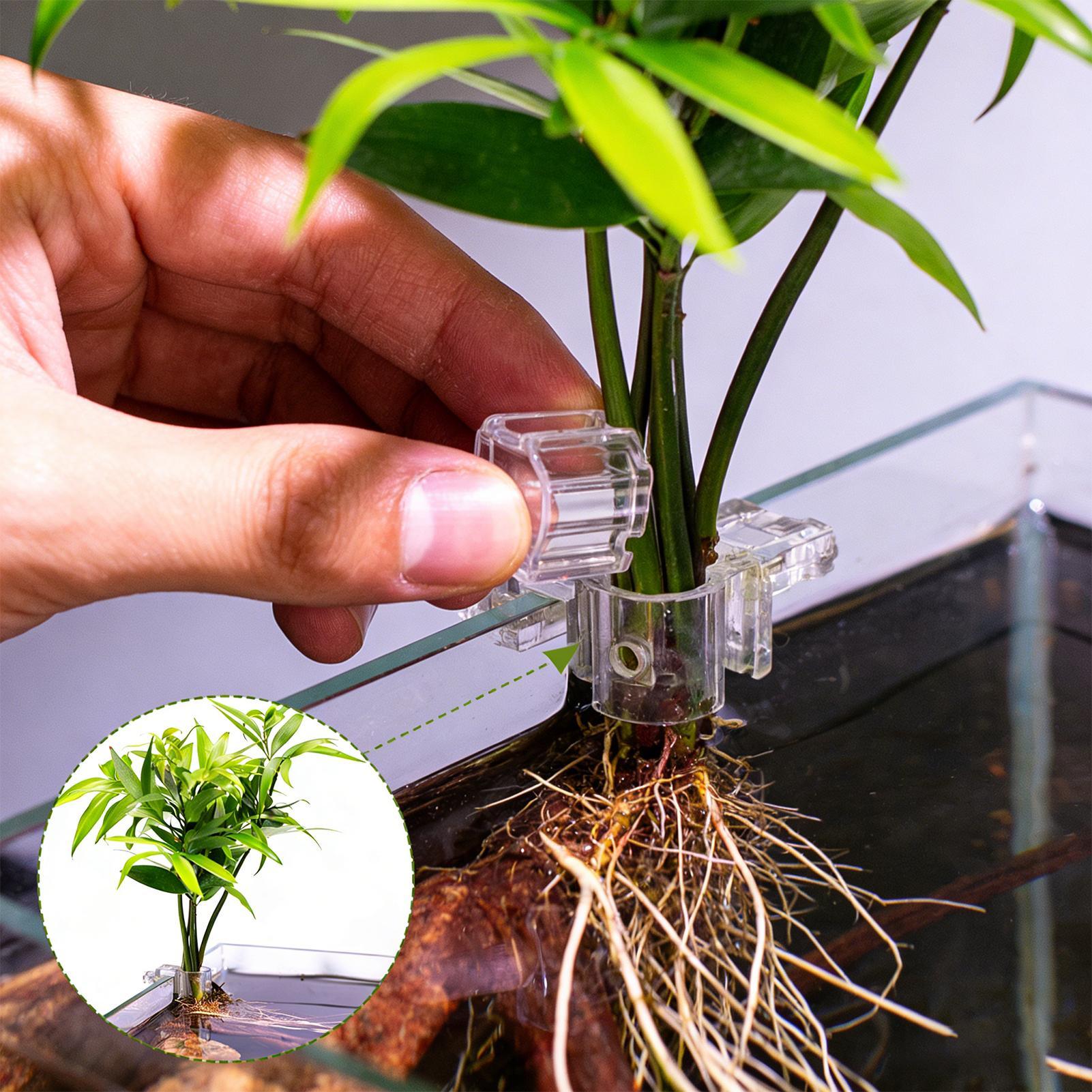 Aquarium Plant Holder - Soportes para plantas de acuario, soporte
