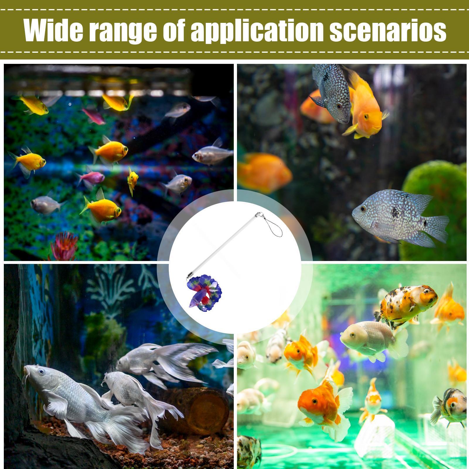 Planted Aquarium For Beginners - Varita de entrenamiento para peces, juego