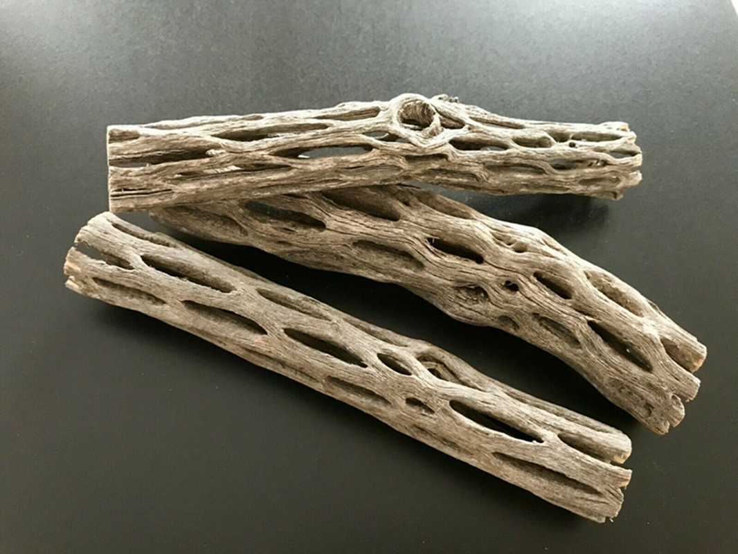 Aquarium Plant Seeds - Casa de nido de camarones de
