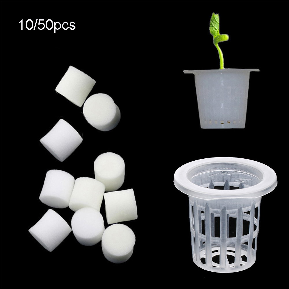 Aquarium Plant Seeds - Bandejas de semillas hidropónicas sin suelo