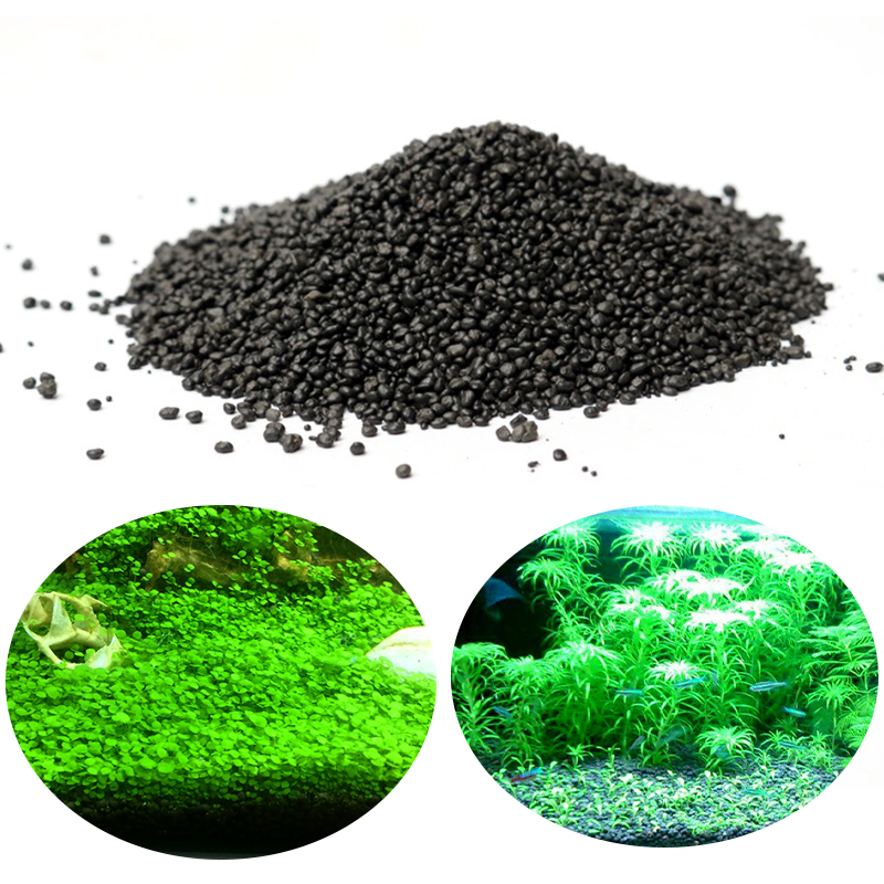 Hierba de agua de acuario, bar - Aquarium Plant Seeds reseña y precio