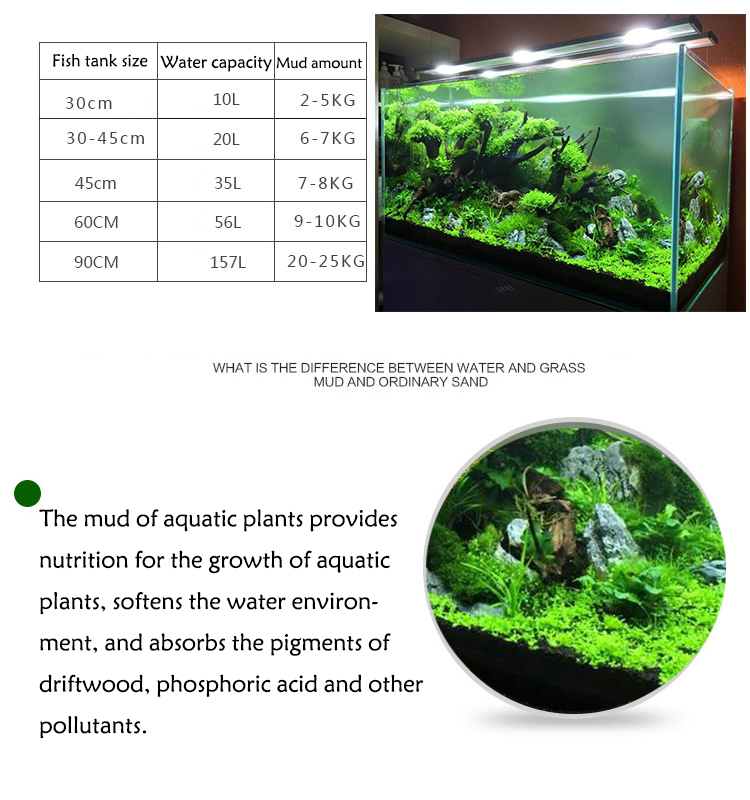 Hierba de agua de acuario, bar - Aquarium Plant Seeds reseña y precio
