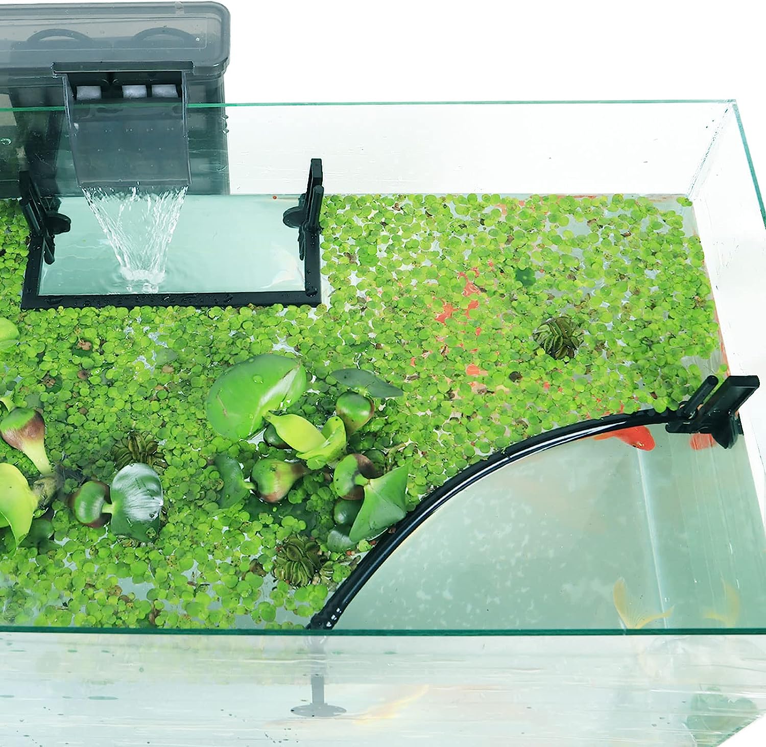 Corral de plantas flotantes pa - Planted Aquarium Heater reseña y precio