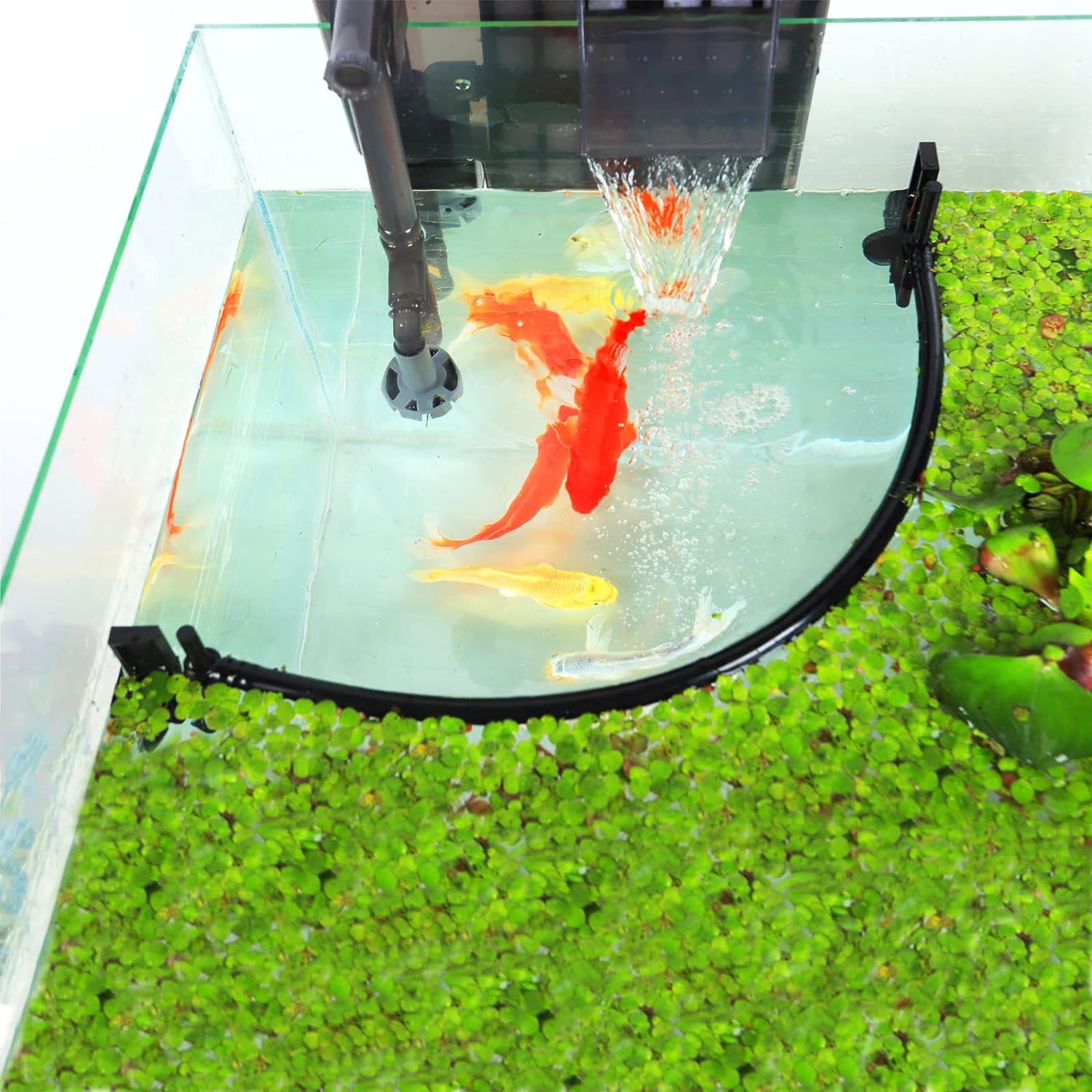 Corral de plantas flotantes pa - Planted Aquarium Heater reseña y precio