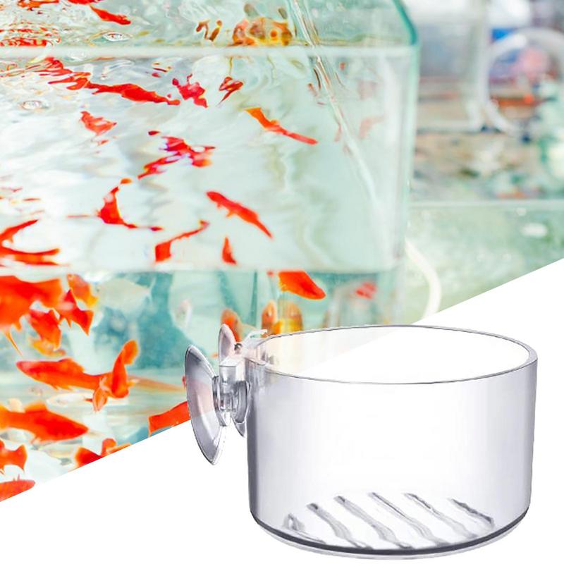 Maceta para plantas de acuario - Aquarium Plant Seeds reseña y precio