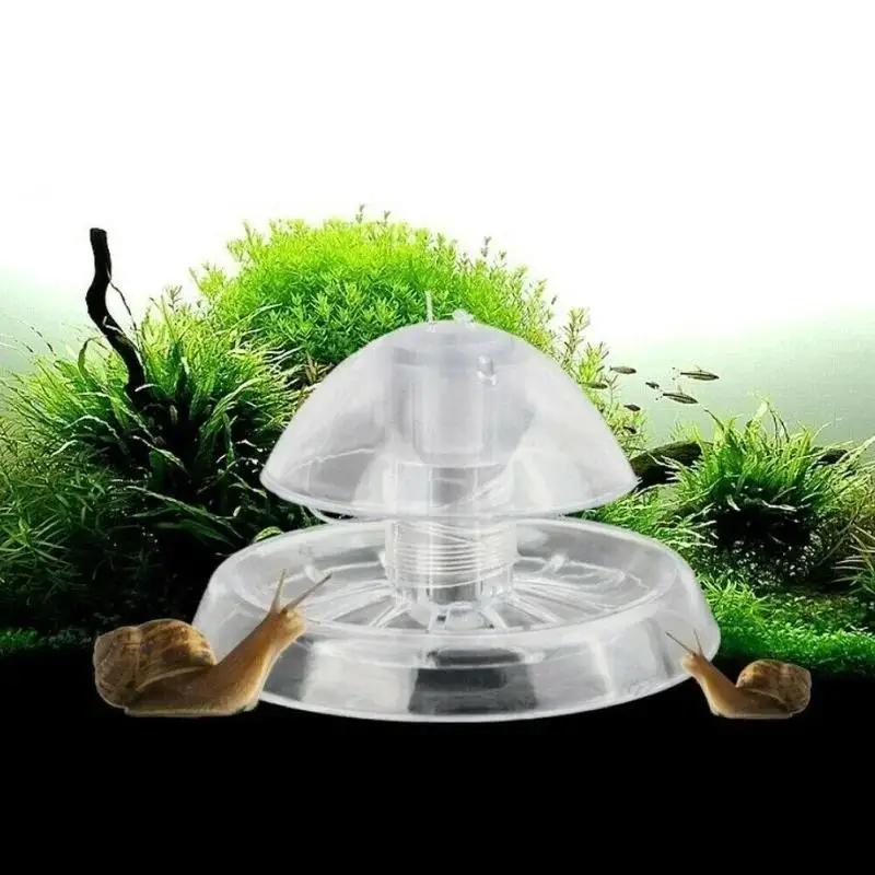 Nueva Trampa para Caracoles de - Aquarium Planting reseña y precio