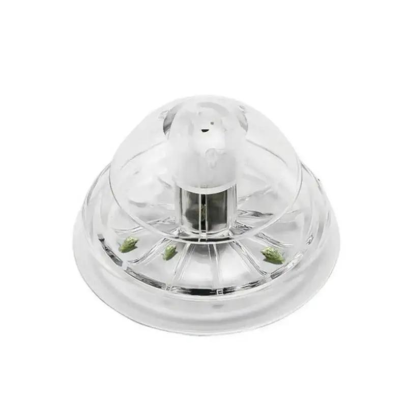 Nueva Trampa para Caracoles de - Aquarium Planting reseña y precio
