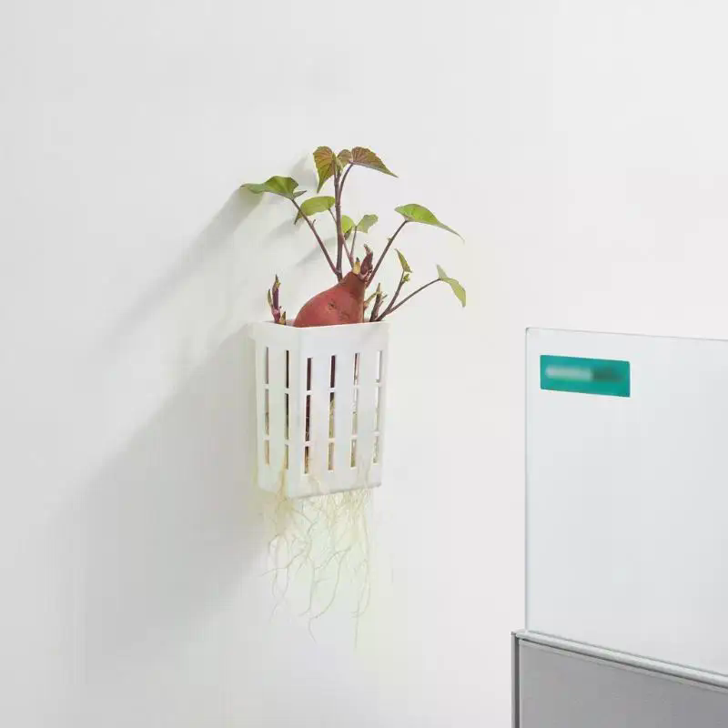 1 unidad de cesta de soporte h - Aquarium Plant Holder reseña y precio