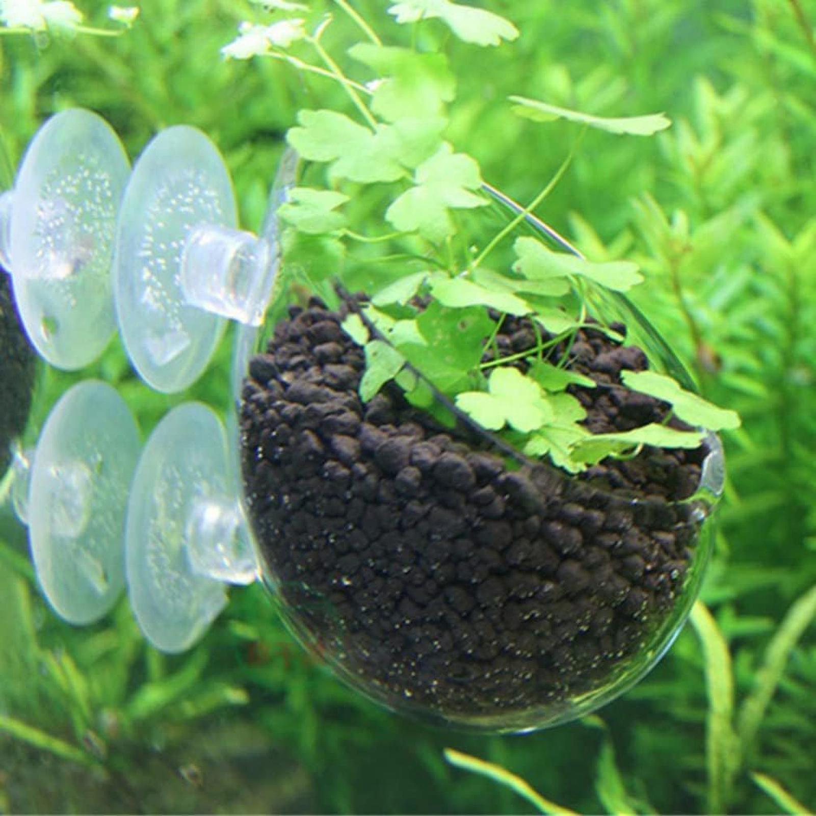 Soporte para Plantas de Acuari - Aquarium Plant Holder reseña y precio