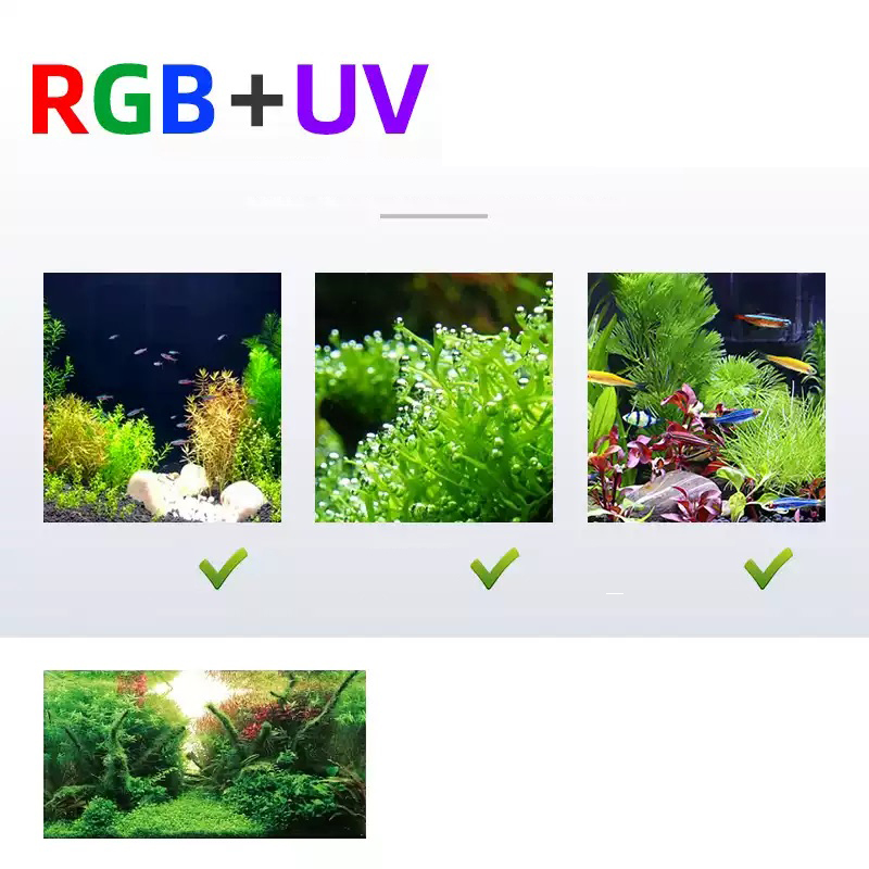 Semana Aqua L Series WRGB UV e - Planted Aquarium Uv Light reseña y precio