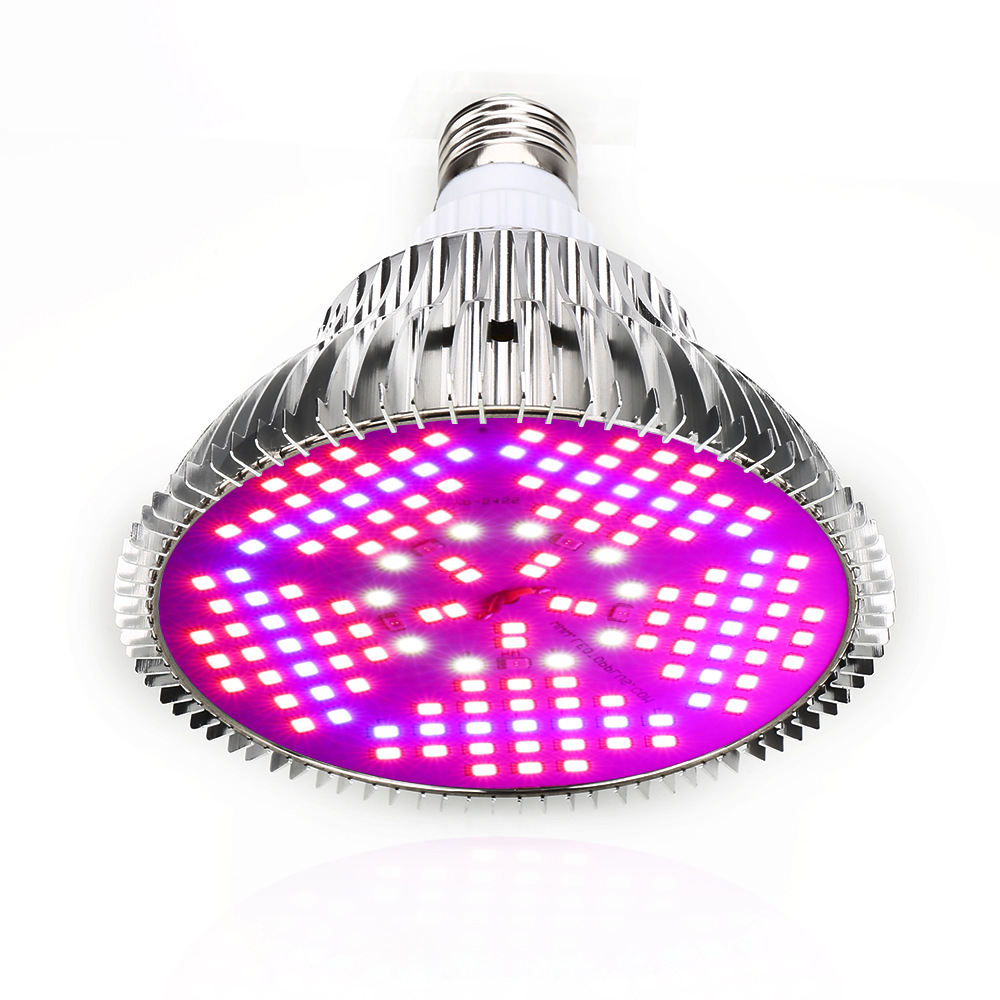 Luz LED de espectro completo p - Aquarium Plant Seeds reseña y precio