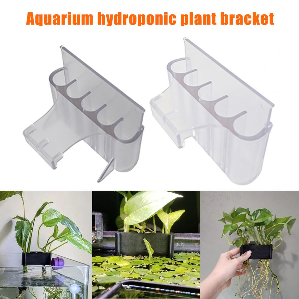 Soporte para plantas de acuari - Aquarium Plant Holder reseña y precio