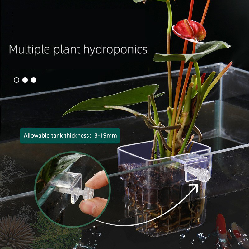 Cesta de plantas hidropónicas  - Aquarium Plant Seeds reseña y precio