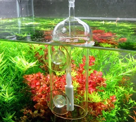 Dispositivo VIV Do, cilindro d - Planted Aquarium Parameters reseña y precio