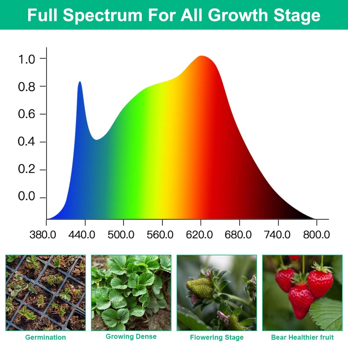 Lámparas LED de cultivo para p - Aquarium Plant Seeds reseña y precio