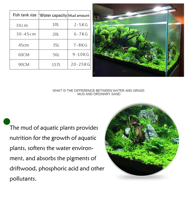 Tanque de agua para peces, hie - Aquarium Plant Seeds reseña y precio