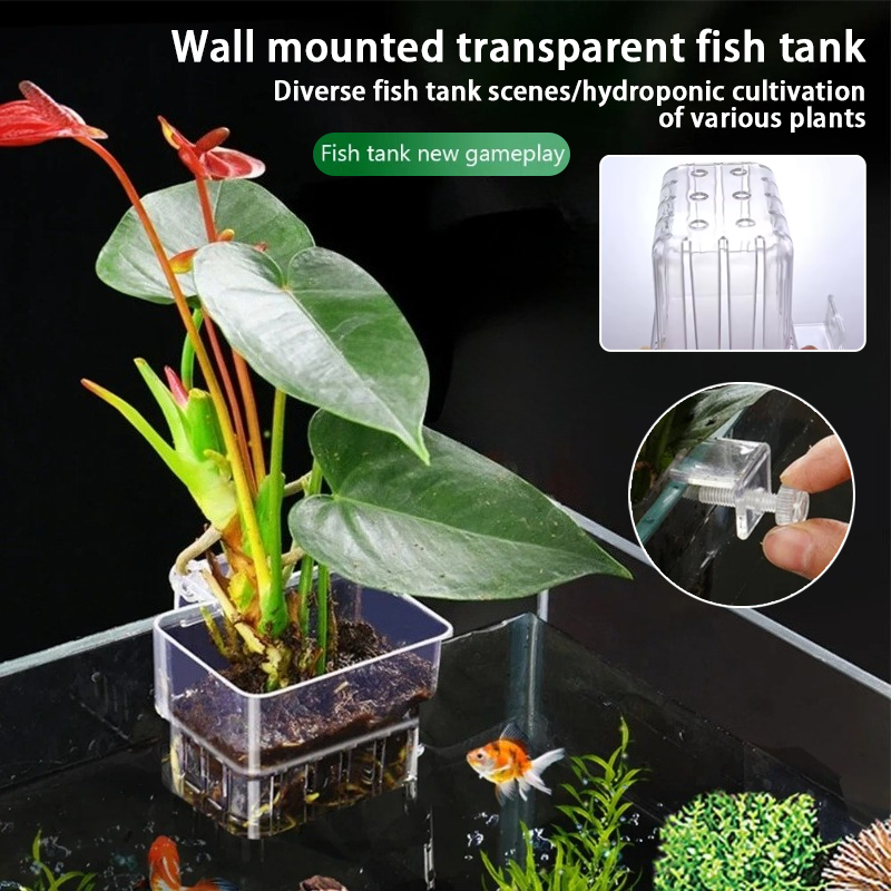 Macetas Colgantes para Acuario - Aquarium Plant Holder reseña y precio