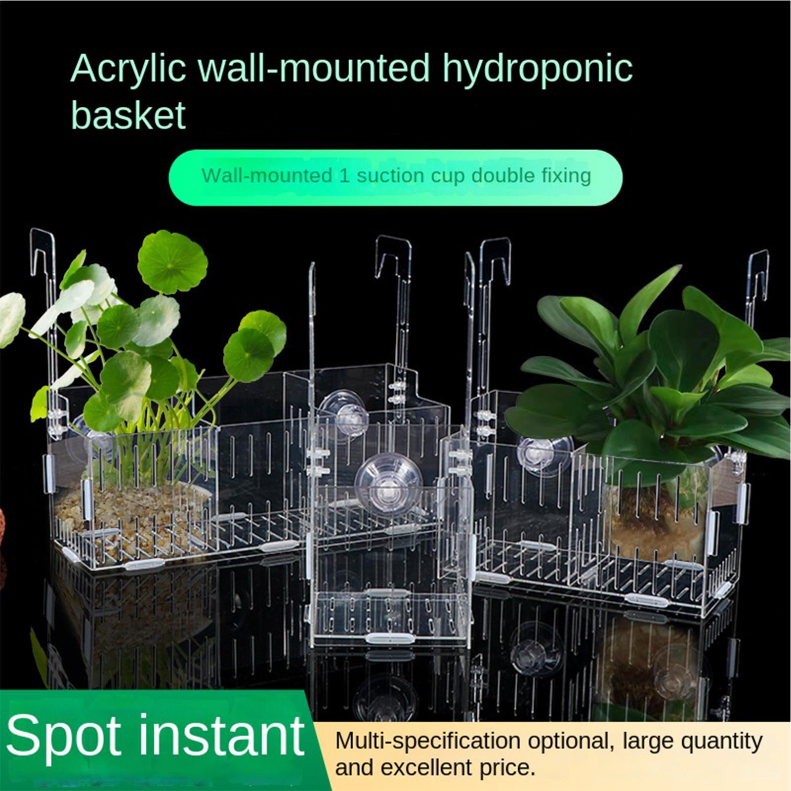 Soporte Acrílico para Plantas  - Aquarium Plant Vine reseña y precio