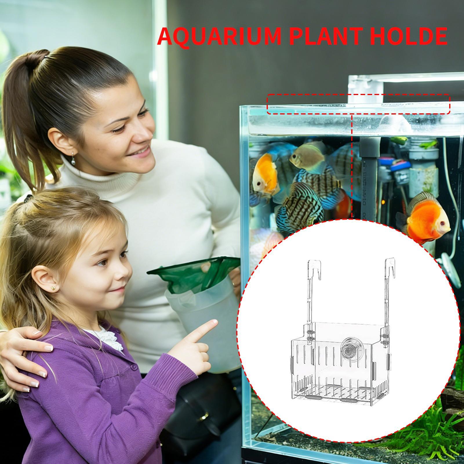 Soporte Acrílico para Plantas  - Aquarium Plant Vine reseña y precio