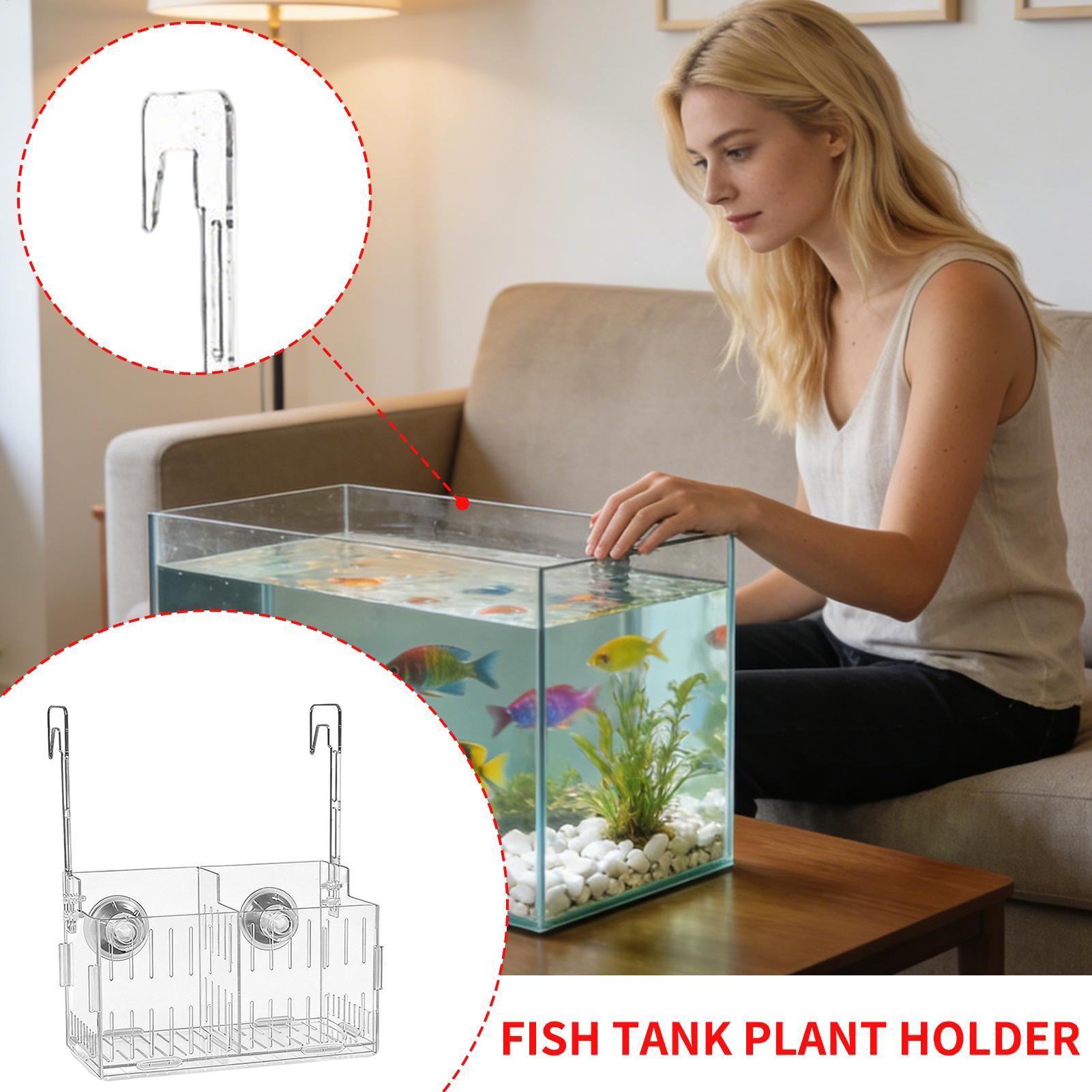 Soporte Acrílico para Plantas  - Aquarium Plant Vine reseña y precio