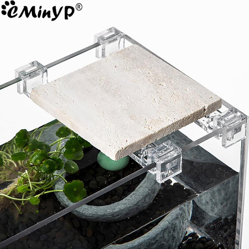 Clips acrílicos para pecera, 4 - Aquarium Plant Holder reseña y precio