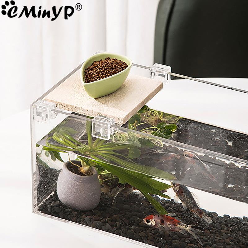 Clips acrílicos para pecera, 4 - Aquarium Plant Holder reseña y precio