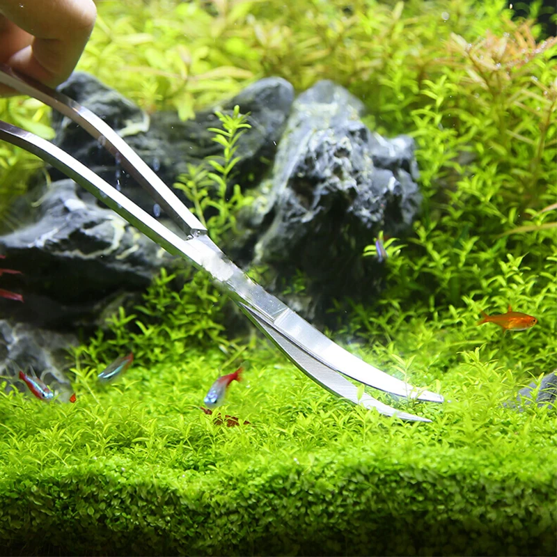 Herramientas de tijera para ac - Aquarium Plant Holder reseña y precio
