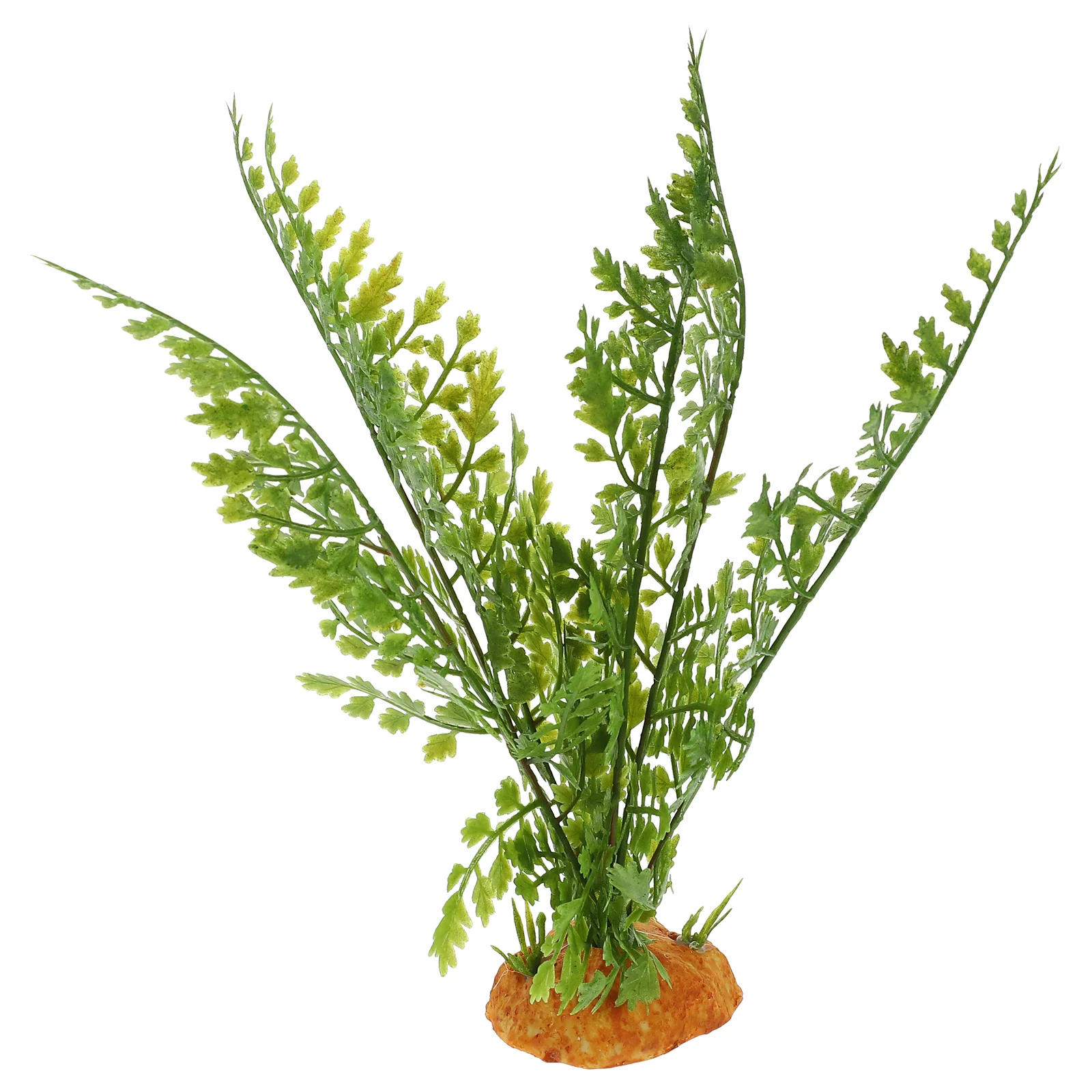 Plantas para reptiles, terrari - Aquarium Plant Vine reseña y precio
