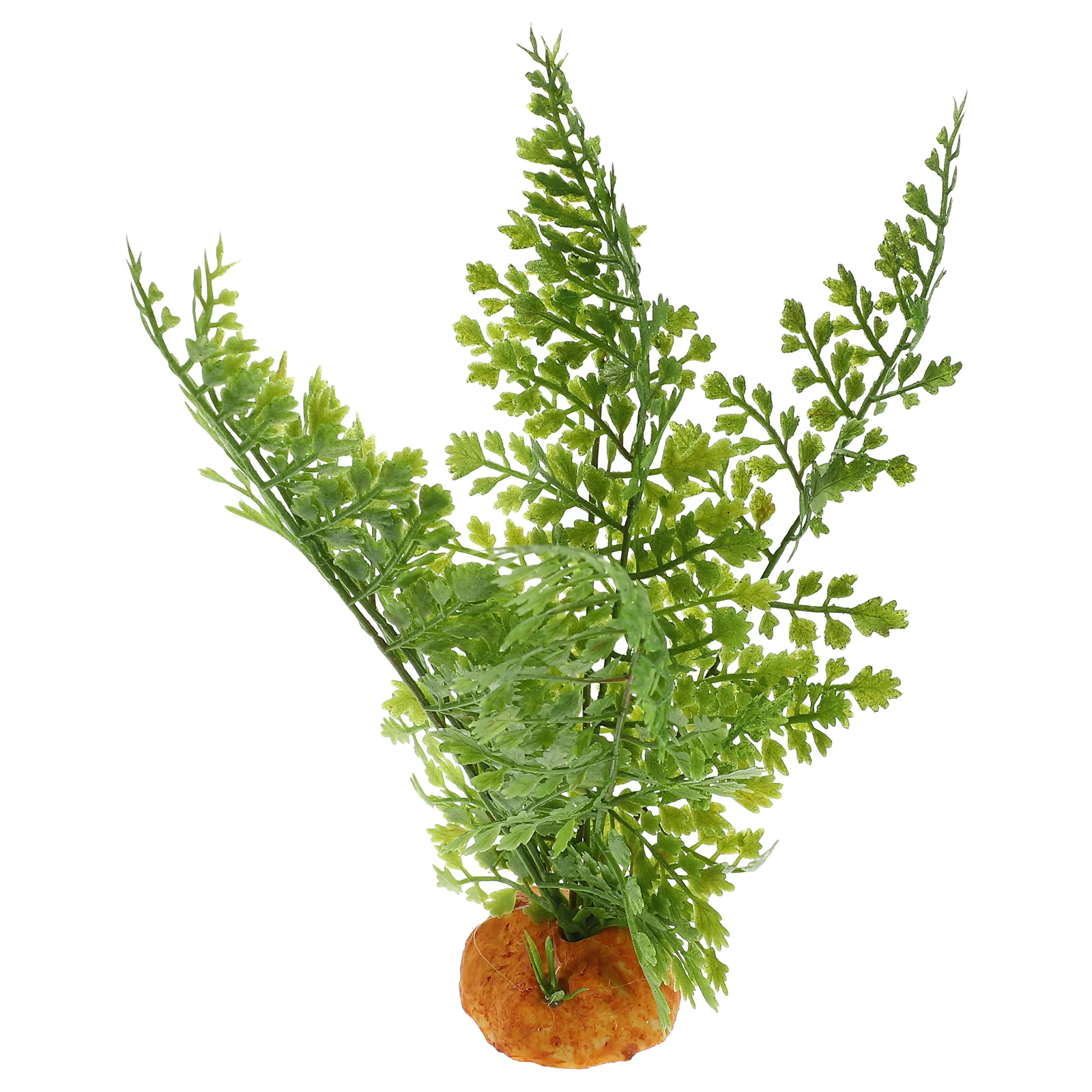 Plantas para reptiles, terrari - Aquarium Plant Vine reseña y precio