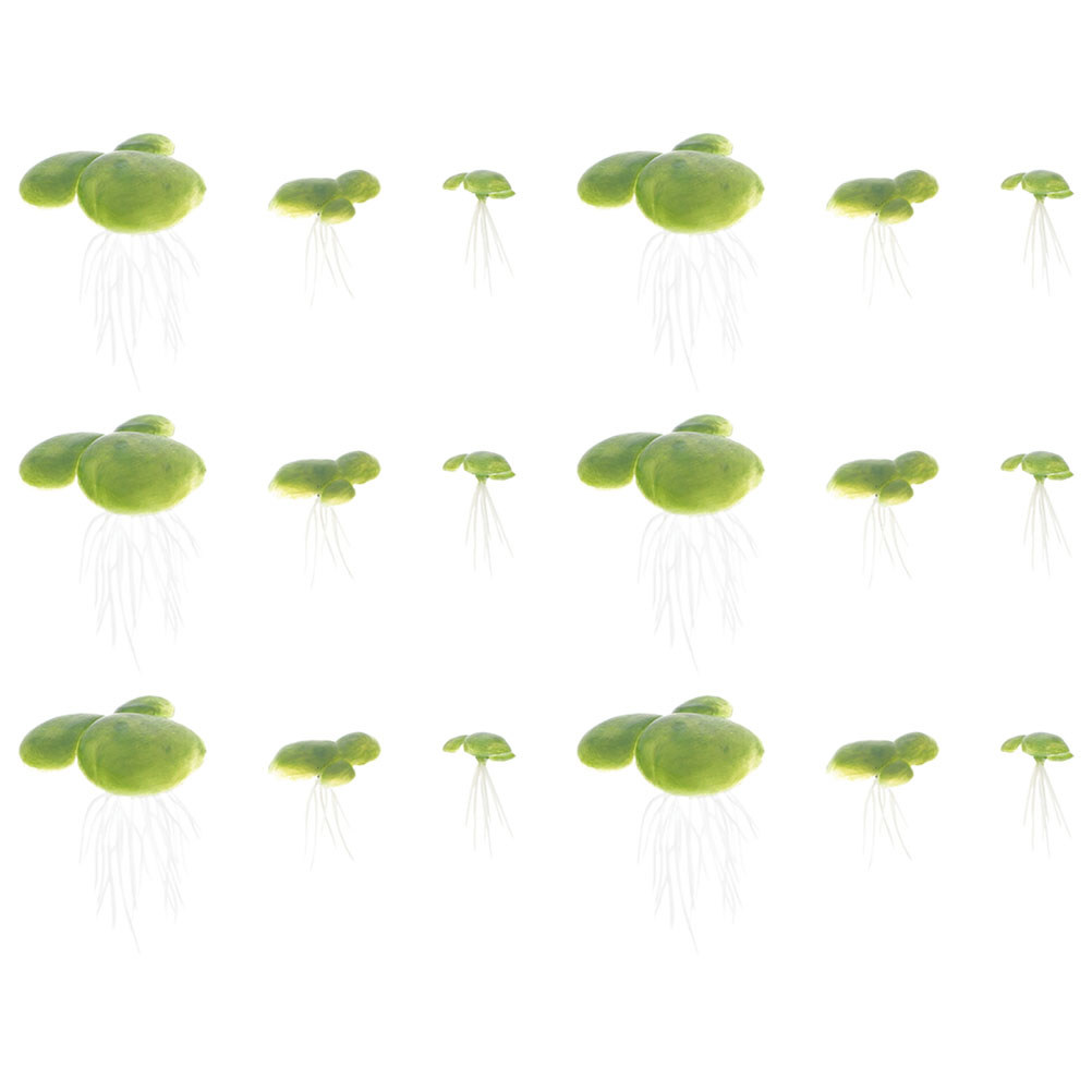 Plantas de Acuario de Agua Dul - Planted Aquarium For Beginners reseña y precio