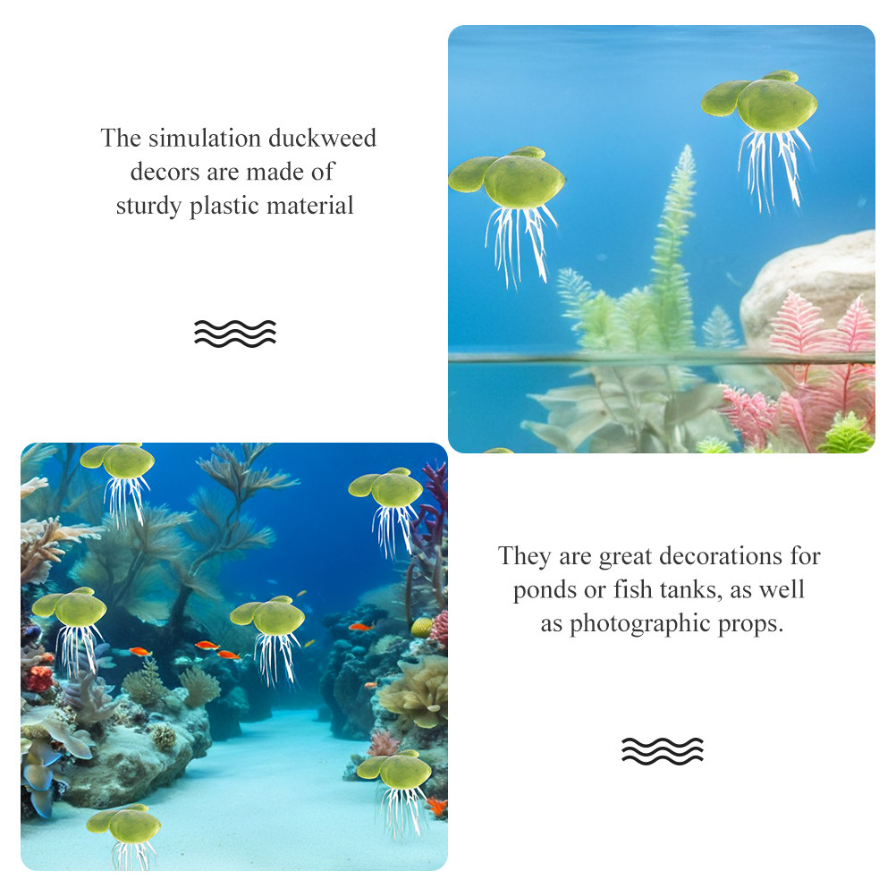 Plantas de Acuario de Agua Dul - Planted Aquarium For Beginners reseña y precio