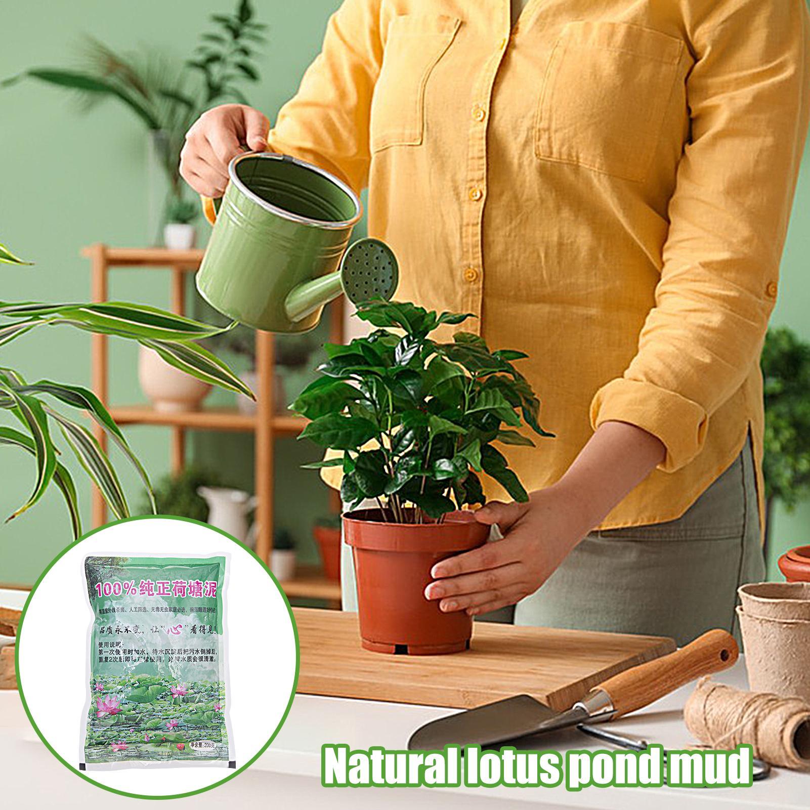 200g/bolsa Tierra para Acuario - Aquarium Plant Seeds reseña y precio
