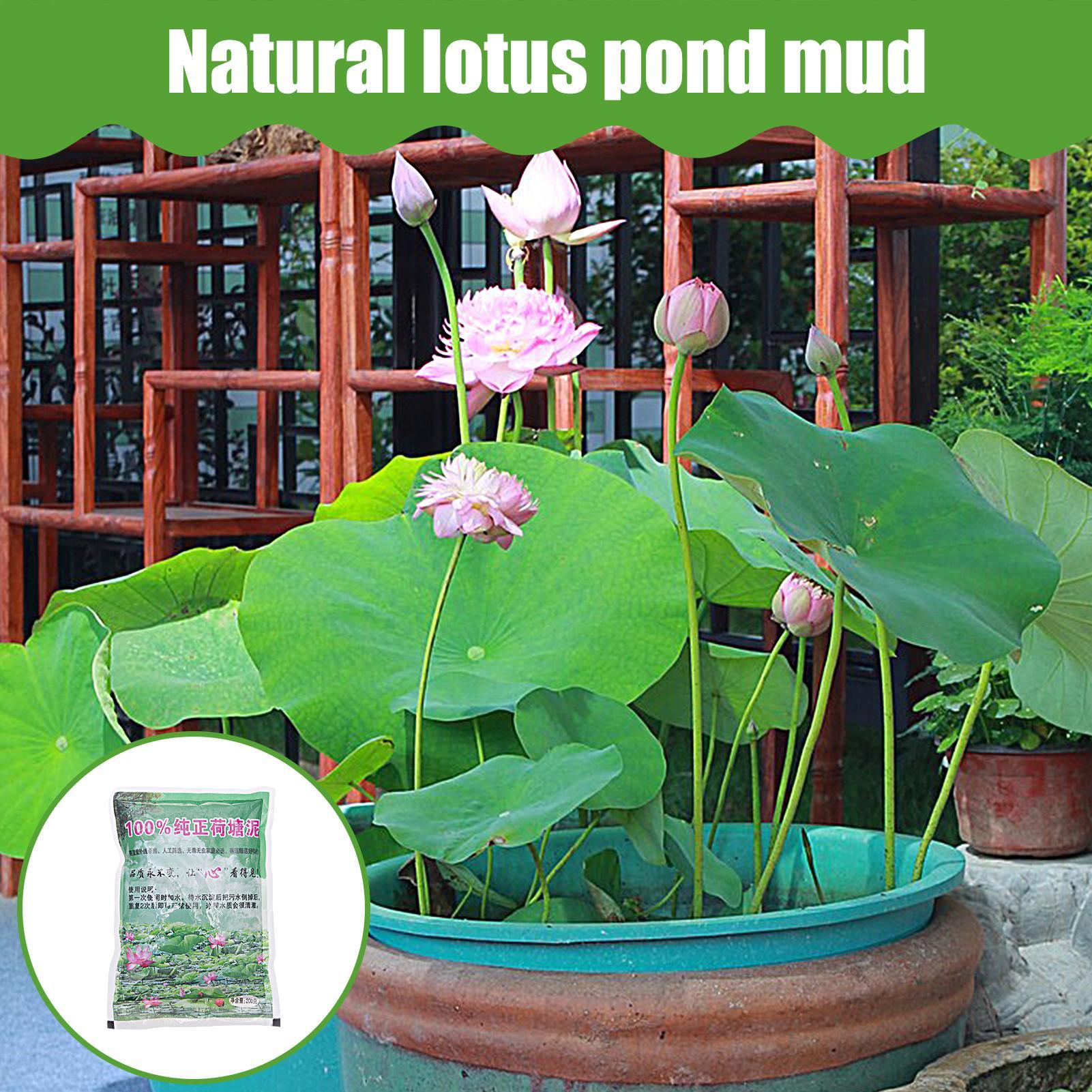 200g/bolsa Tierra para Acuario - Aquarium Plant Seeds reseña y precio