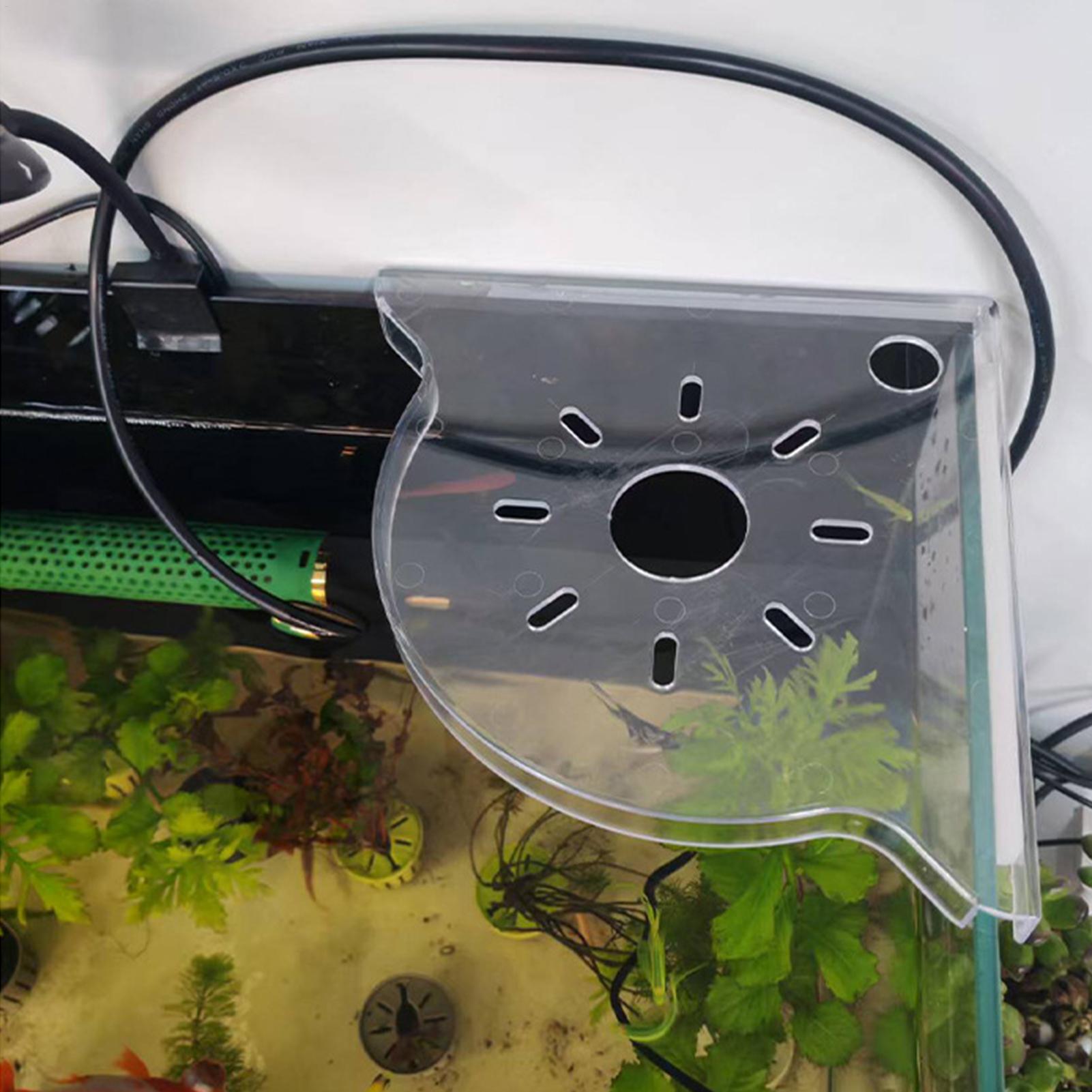 Estante de Almacenamiento en E - Aquarium Plant Holder reseña y precio