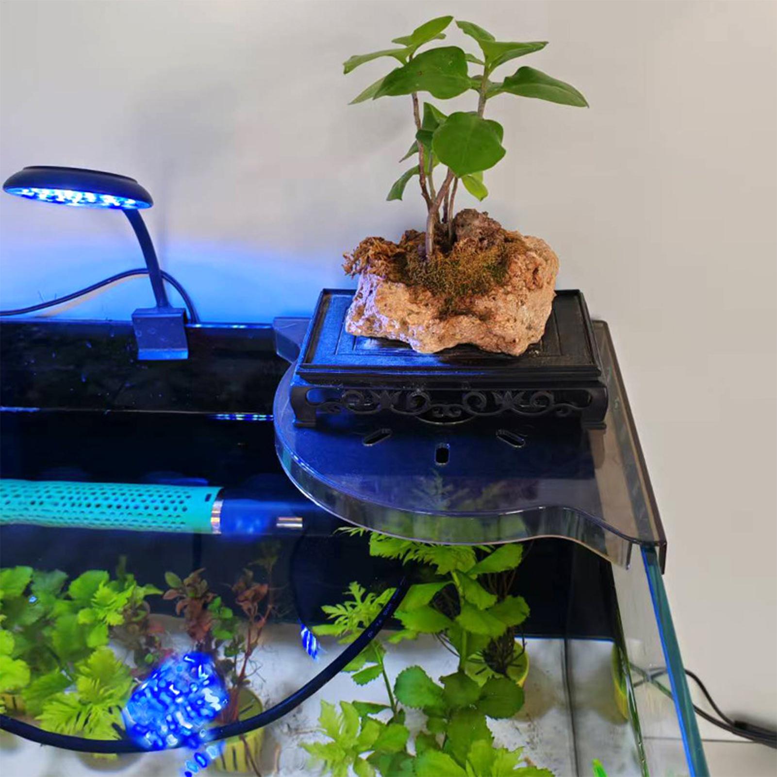 Estante de Almacenamiento en E - Aquarium Plant Holder reseña y precio