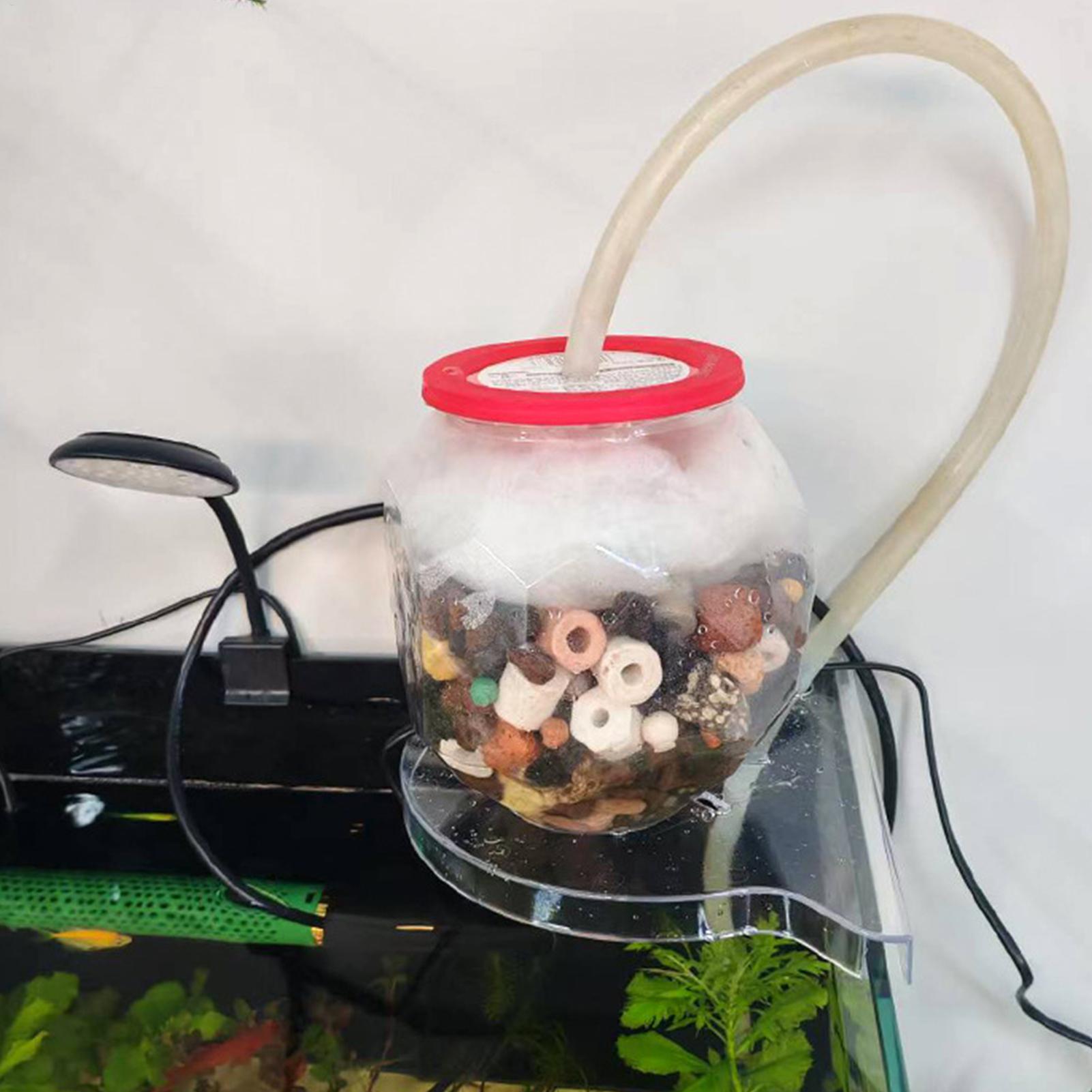 Estante de Almacenamiento en E - Aquarium Plant Holder reseña y precio