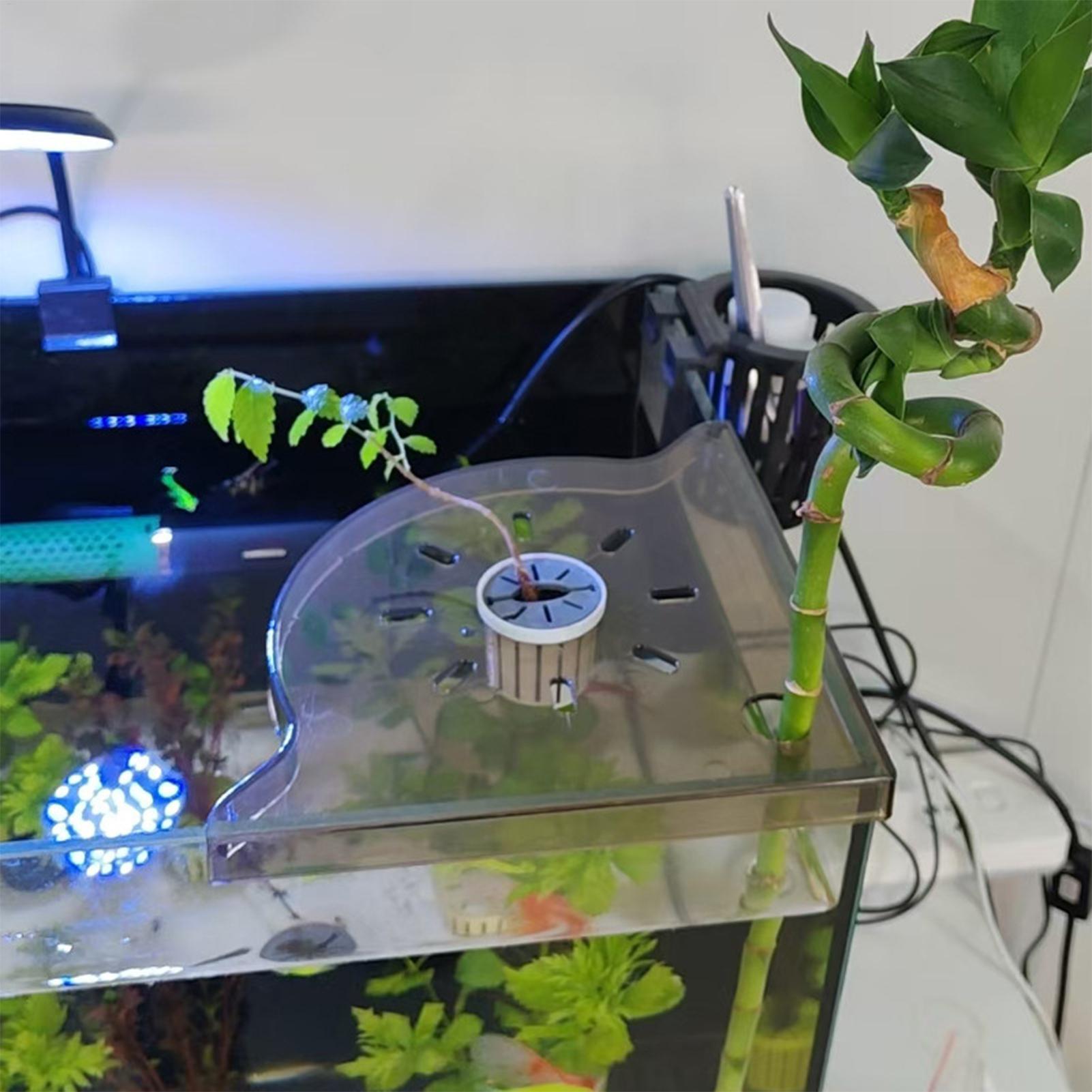 Estante de Almacenamiento en E - Aquarium Plant Holder reseña y precio