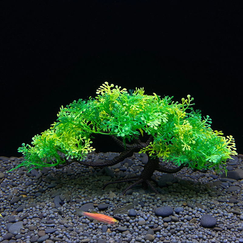 Árbol Bonsái para Acuario, Pla - Aquarium Plant Seeds reseña y precio