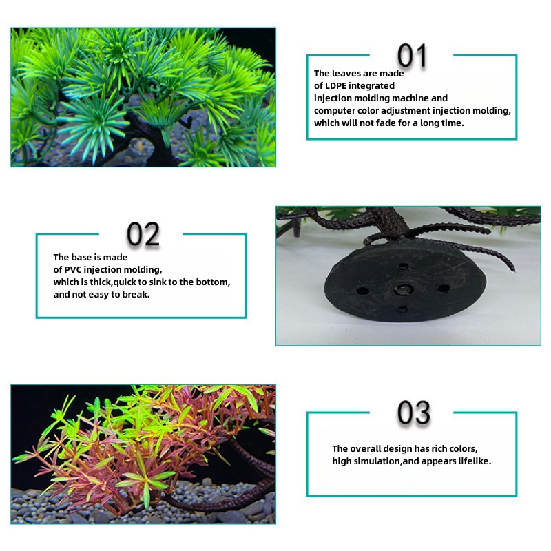 Árbol Bonsái para Acuario, Pla - Aquarium Plant Seeds reseña y precio