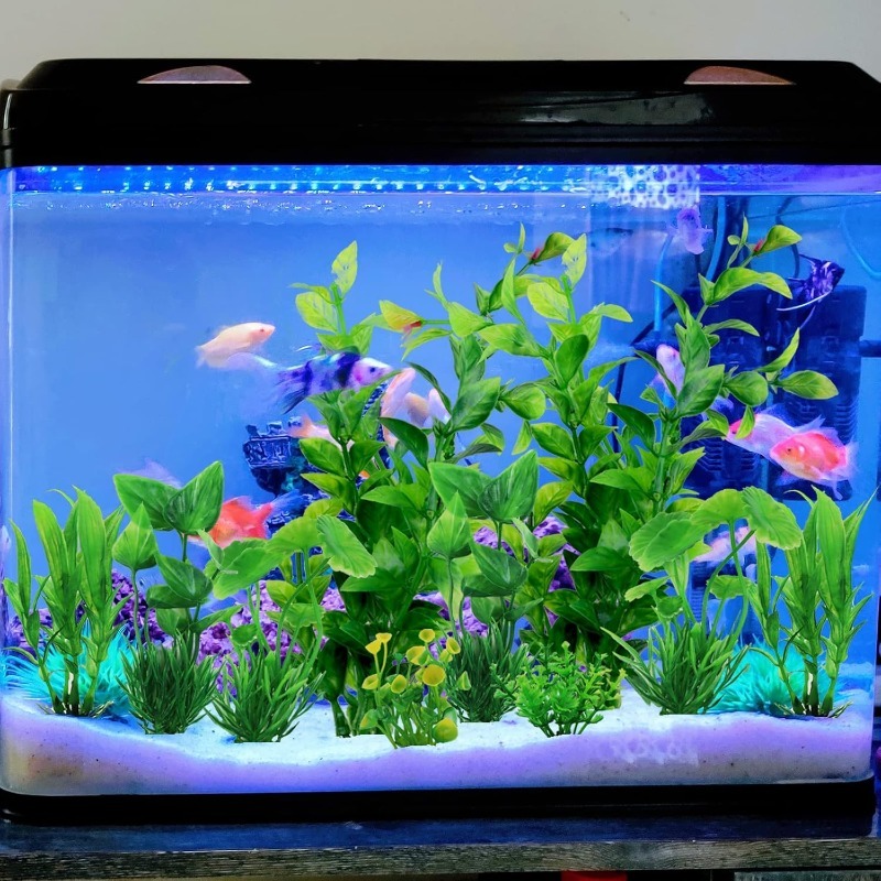 10 piezas/set de plantas artif - Aquarium Plant Vine reseña y precio