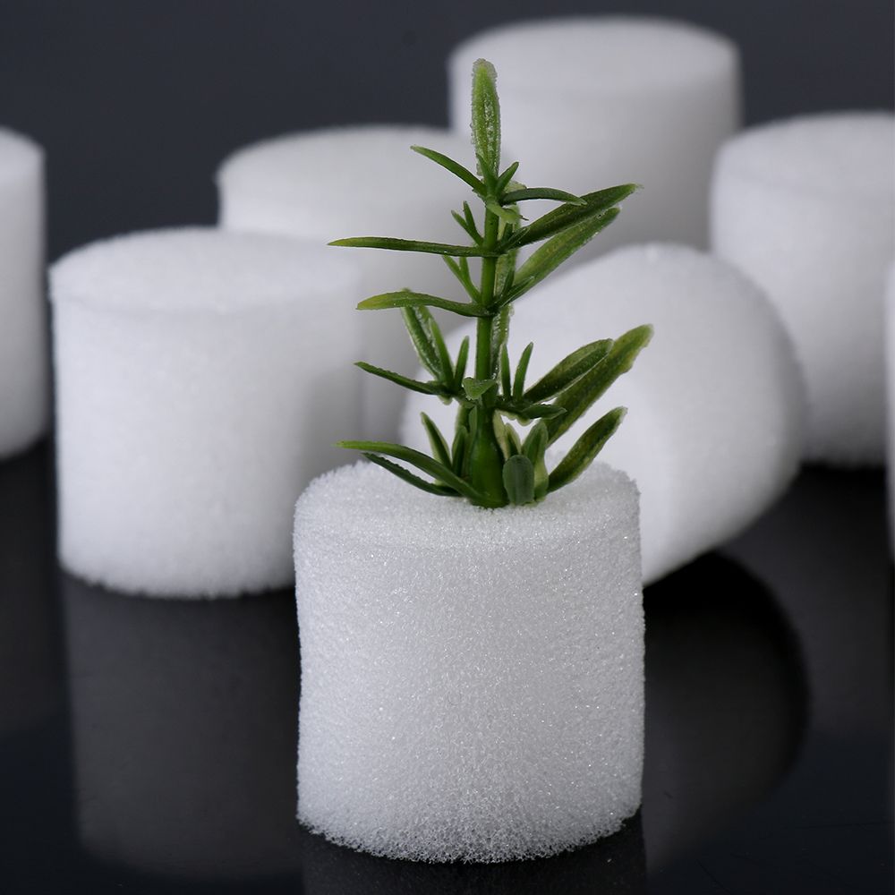 Suministros de jardín duradero - Aquarium Plant Seeds reseña y precio