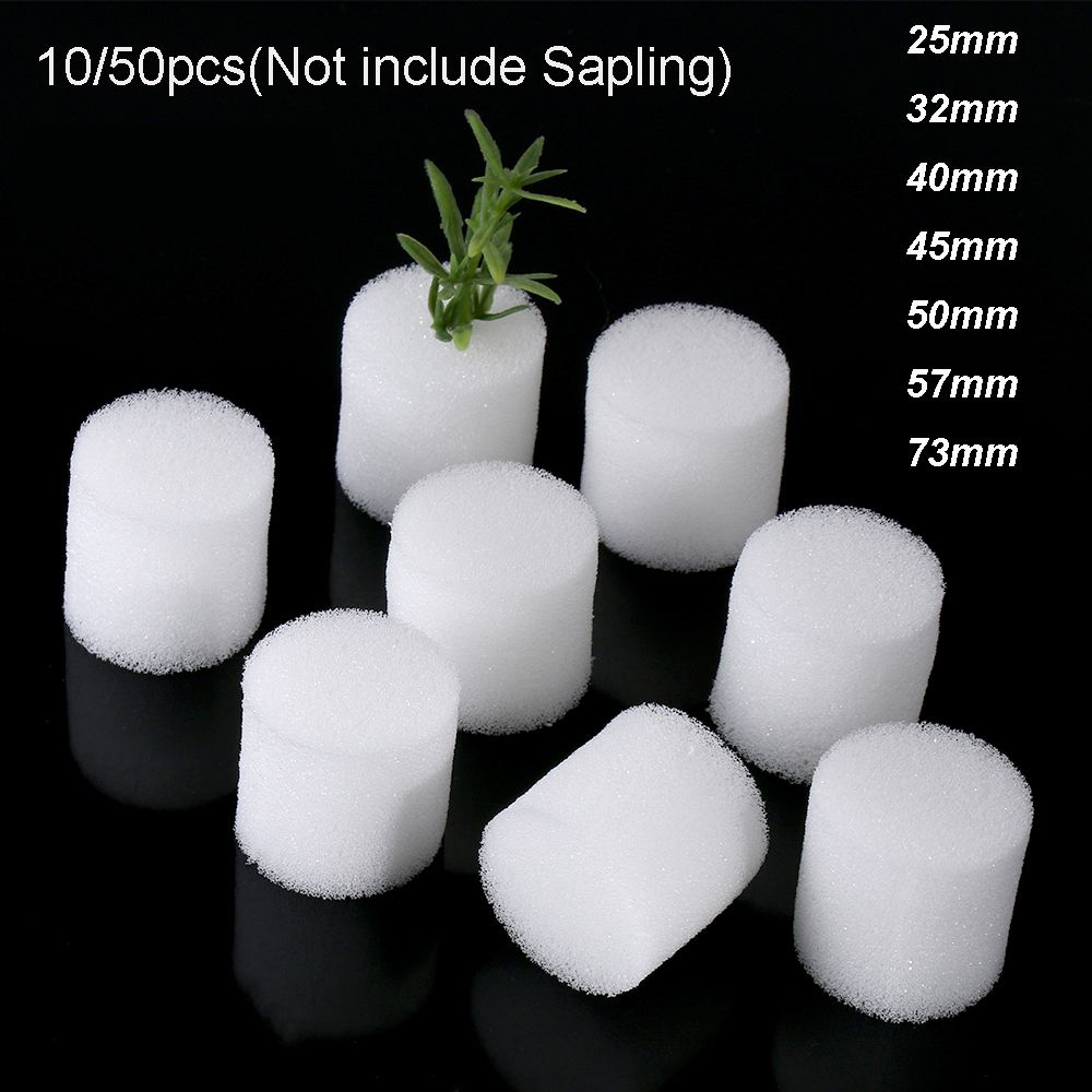 Suministros de jardín duradero - Aquarium Plant Seeds reseña y precio