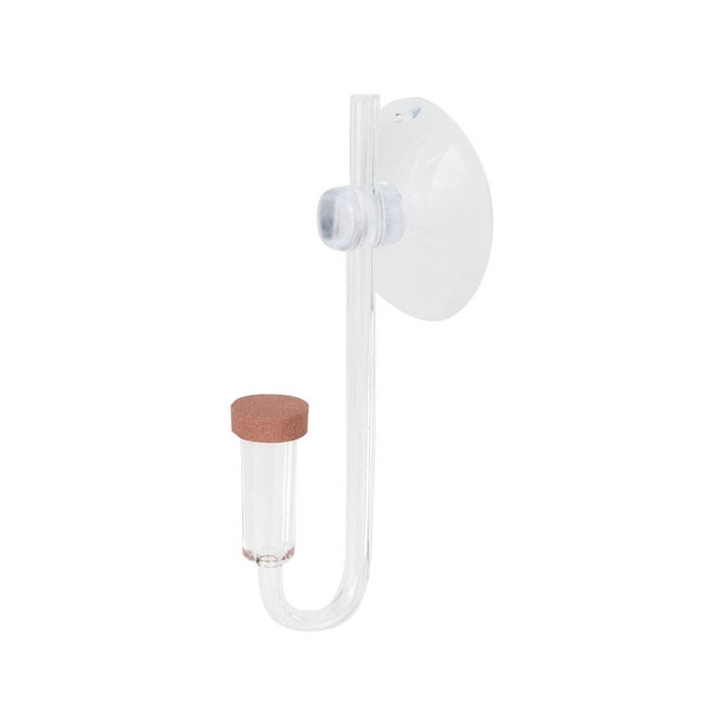 Mini pecera acrílica, planta v - Planted Aquarium Parameters reseña y precio