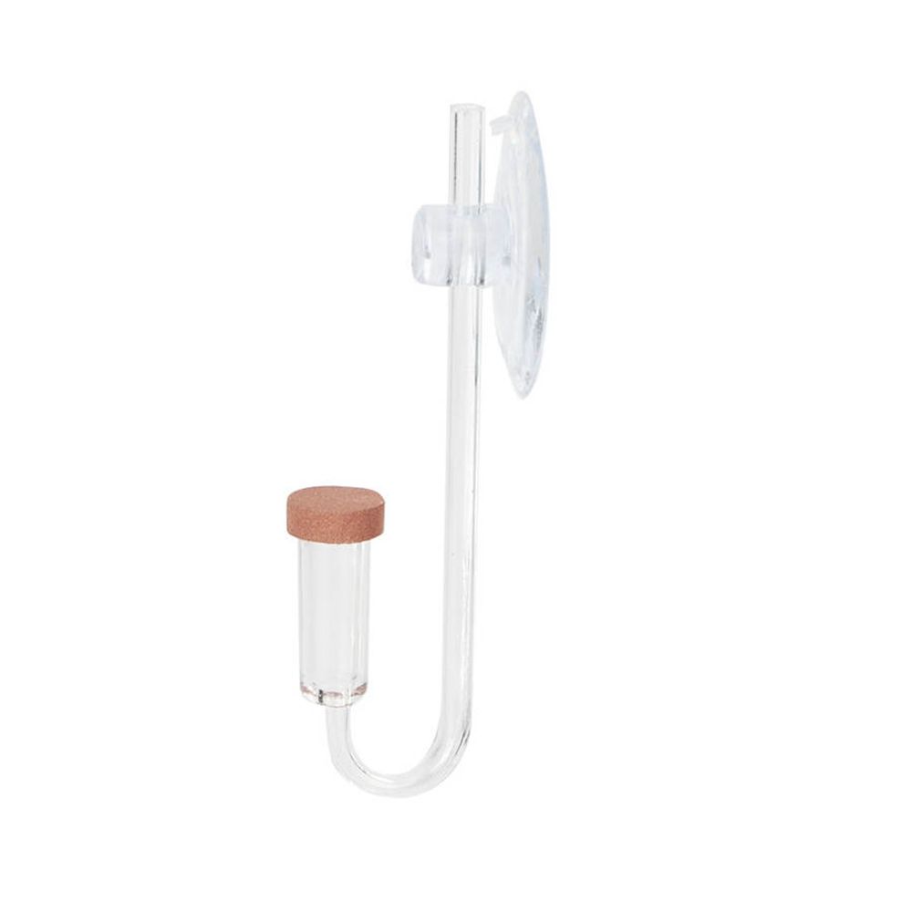 Mini pecera acrílica, planta v - Planted Aquarium Parameters reseña y precio
