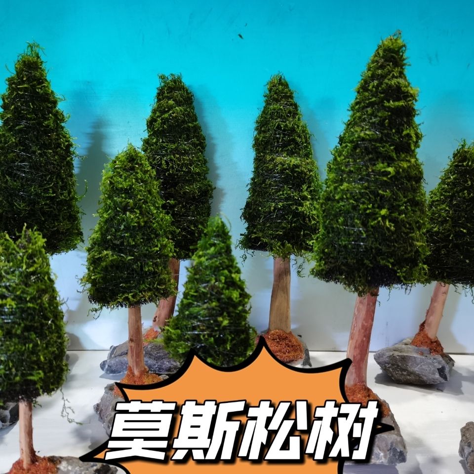 Decoración de plantas acuática - Aquarium Plant Seeds reseña y precio